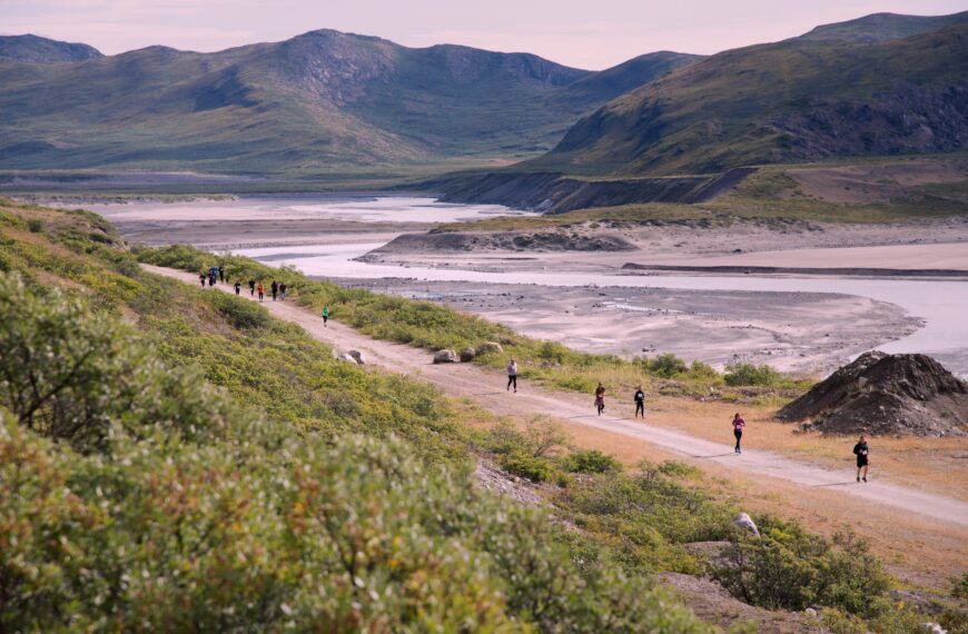 Polar Circle Marathon & Running of the Muskox